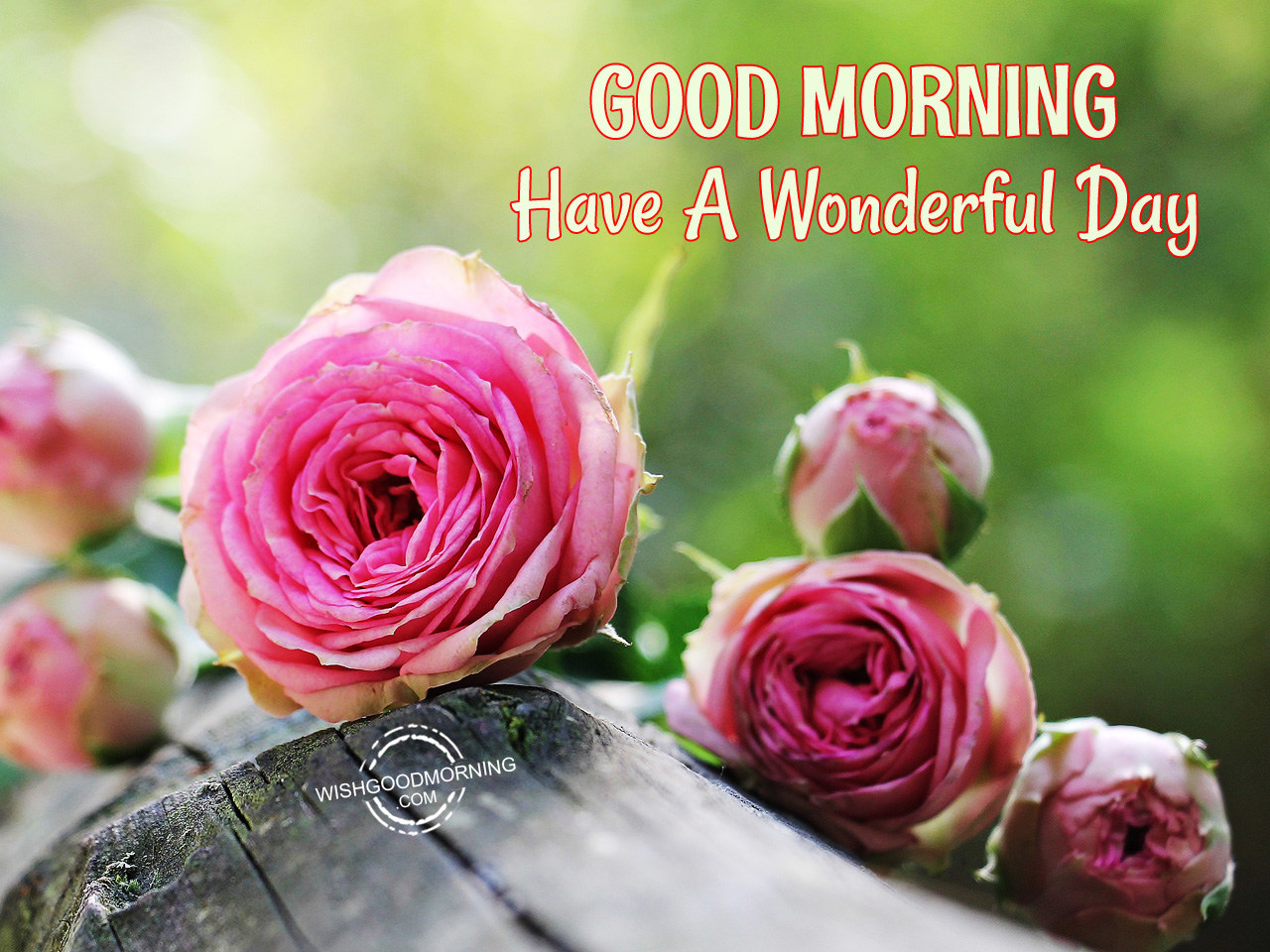 Good Morning Wishes Good Morning Pictures WishGoodMorning