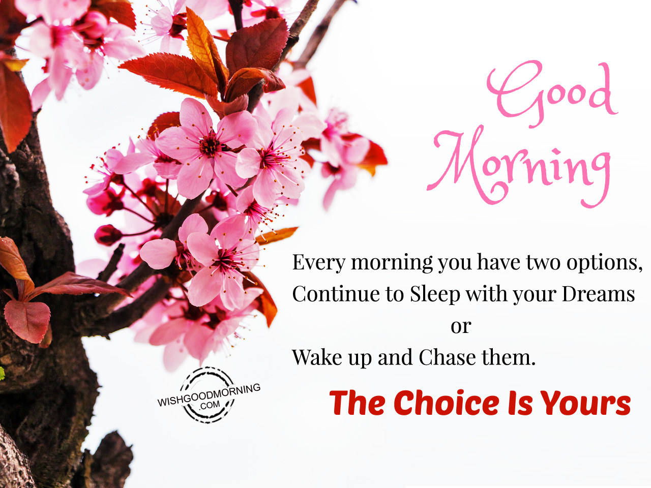 Good Morning Every Morning You Have Two Option Good Morning Pictures