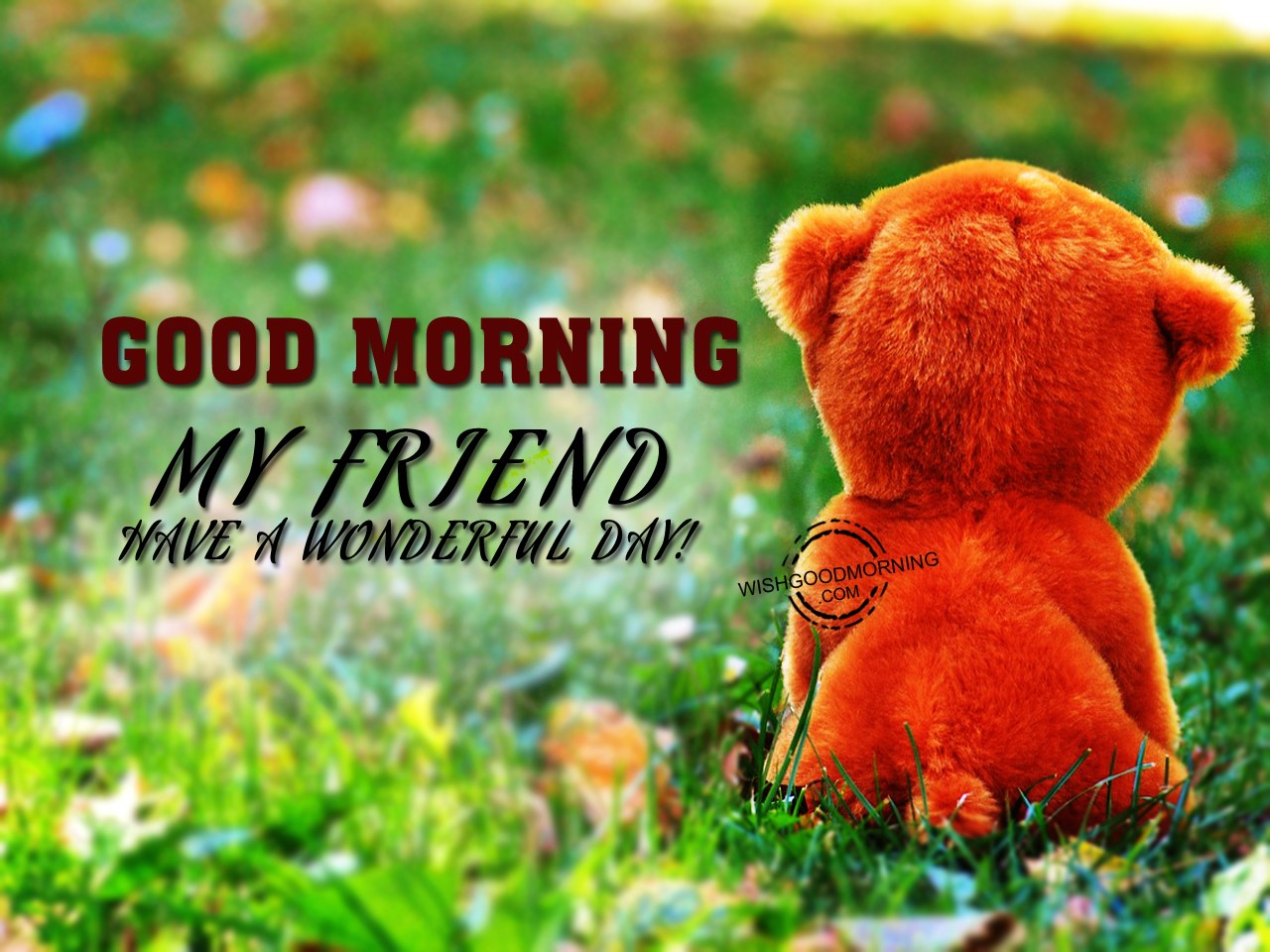 Good Morning My Friend - Good Morning Pictures – WishGoodMorning.com