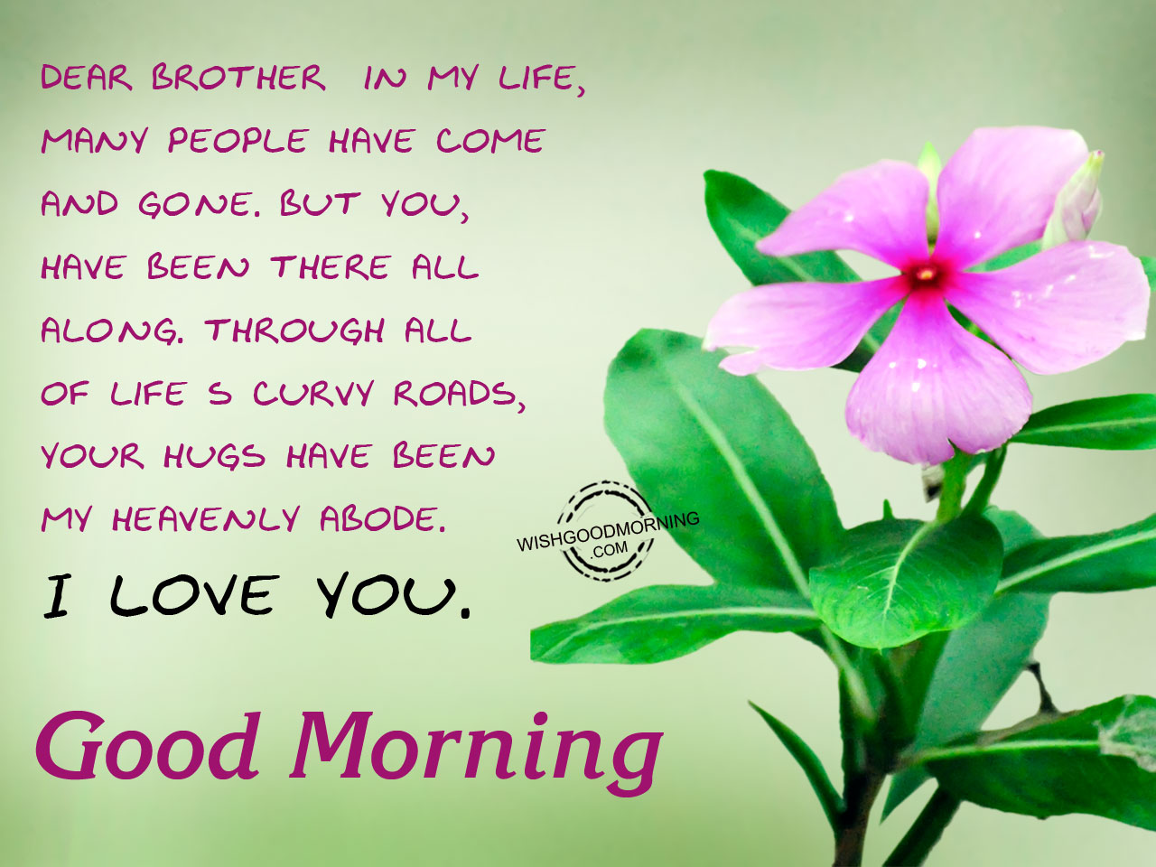 Good Morning Wishes For Brother Good Morning Pictures 