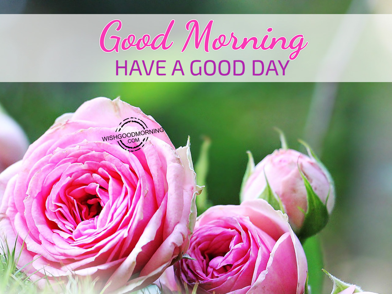 Have A Good Day – Good Morning - Good Morning Pictures ...