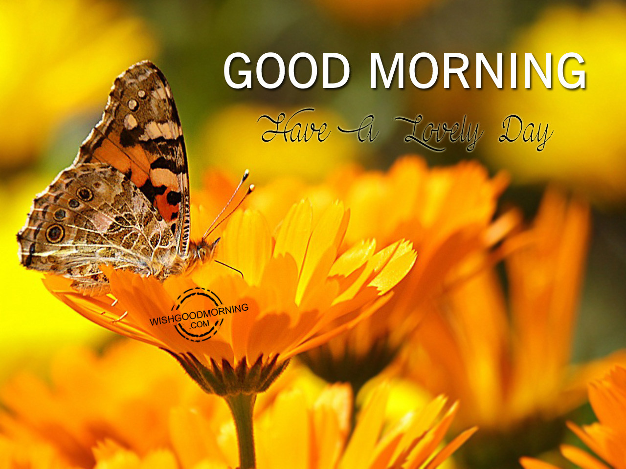 Lovely Images For Good Morning Printable Template Calendar