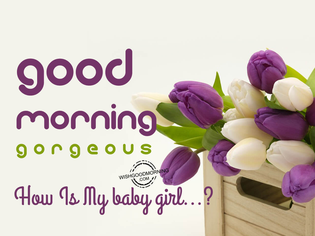 Good Morning Gorgeous - Good Morning Pictures – WishGoodMorning.com