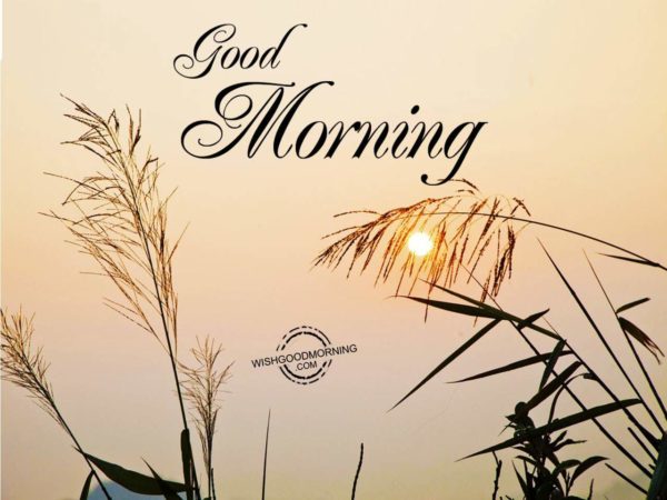 Good Morning Pictures – WishGoodMorning.com