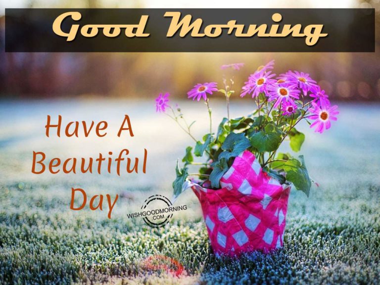 Good Morning Wishes - Good Morning Pictures – WishGoodMorning.com