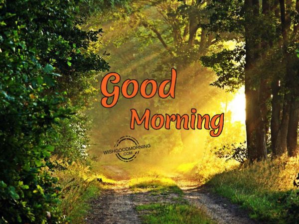 Wish You Good Morning Good Morning Pictures WishGoodMorning