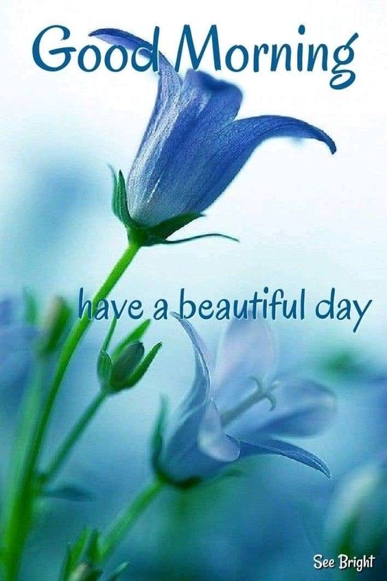 Best Good Morning Blue Flower Picture - Good Morning Pictures ...